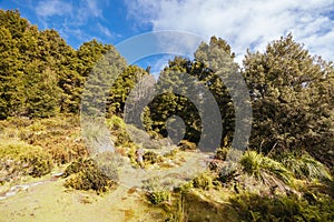Du Cain Hut in Tasmania Australia photo